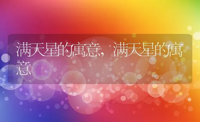 满天星的寓意,满天星的寓意 | 养殖常见问题