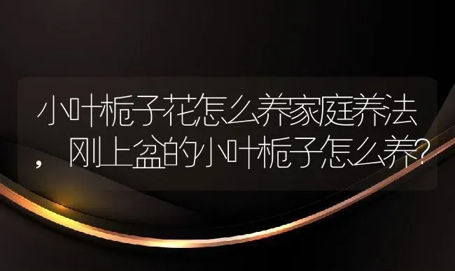 小叶栀子花怎么养家庭养法,刚上盆的小叶栀子怎么养？ | 养殖常见问题