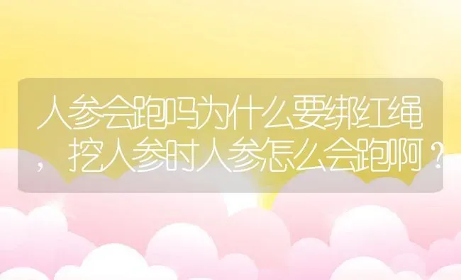 人参会跑吗为什么要绑红绳,挖人参时人参怎么会跑啊？ | 养殖常见问题