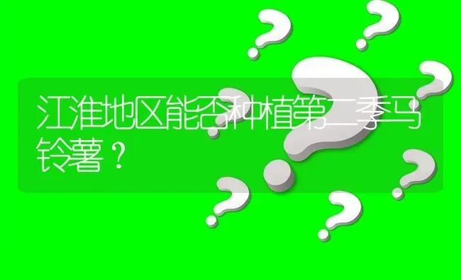 江淮地区能否种植第二季马铃薯? | 养殖问题解答