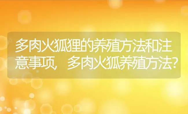 多肉火狐狸的养殖方法和注意事项,多肉火狐养殖方法？ | 养殖常见问题