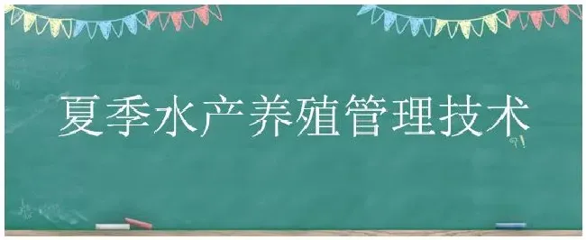 夏季水产养殖管理技术 | 农业答疑