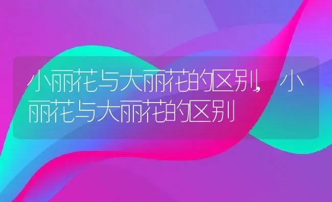 小丽花与大丽花的区别,小丽花与大丽花的区别 | 养殖常见问题