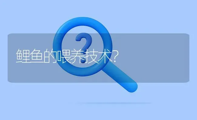 鲤鱼的喂养技术? | 养殖问题解答