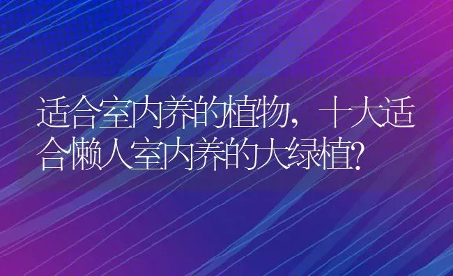 适合室内养的植物,十大适合懒人室内养的大绿植？ | 养殖常见问题