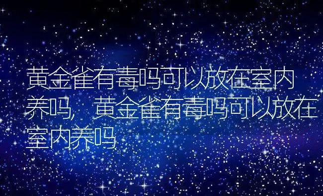 黄金雀有毒吗可以放在室内养吗,黄金雀有毒吗可以放在室内养吗 | 养殖常见问题