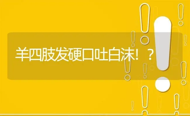 羊四肢发硬口吐白沫！? | 养殖问题解答