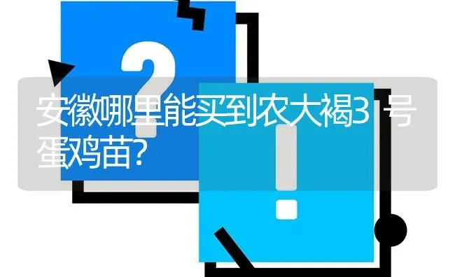 安徽哪里能买到农大褐3号蛋鸡苗? | 养殖问题解答