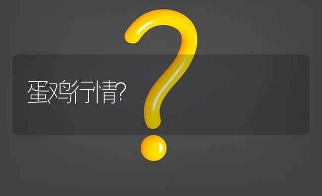 蛋鸡行情? | 养殖问题解答