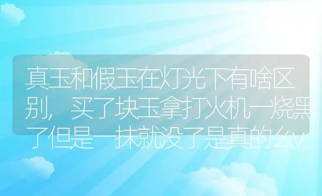 真玉和假玉在灯光下有啥区别,买了块玉拿打火机一烧黑了但是一抹就没了是真的么v？ | 养殖常见问题