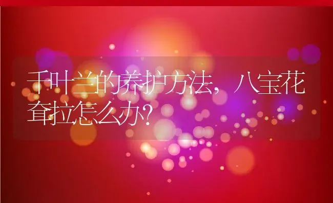 千叶兰的养护方法,八宝花耷拉怎么办？ | 养殖常见问题