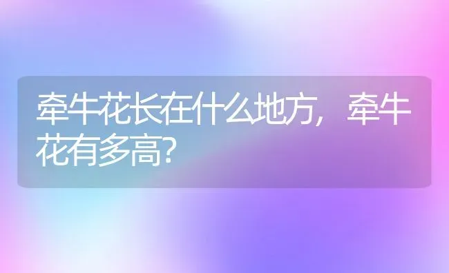 牵牛花长在什么地方,牵牛花有多高？ | 养殖常见问题