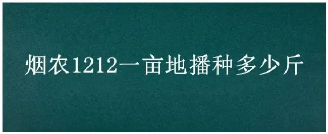 烟农1212一亩地播种多少斤 | 科普知识