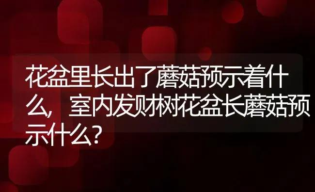 花盆里长出了蘑菇预示着什么,室内发财树花盆长蘑菇预示什么？ | 养殖常见问题