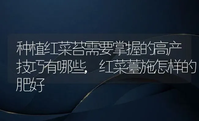 种植红菜苔需要掌握的高产技巧有哪些,红菜薹施怎样的肥好 | 养殖常见问题