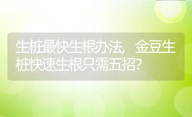 生桩最快生根办法,金豆生桩快速生根只需五招？ | 养殖常见问题