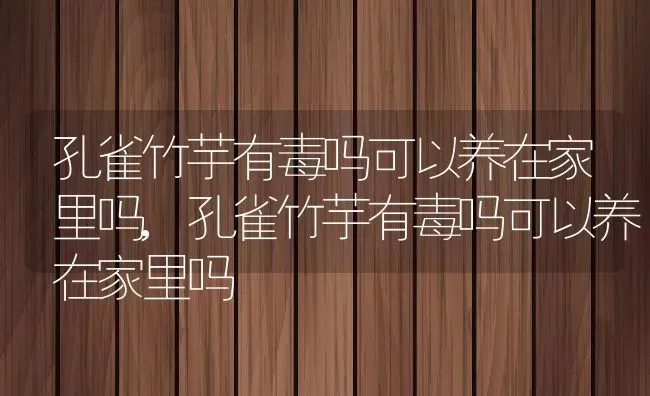 孔雀竹芋有毒吗可以养在家里吗,孔雀竹芋有毒吗可以养在家里吗 | 养殖常见问题