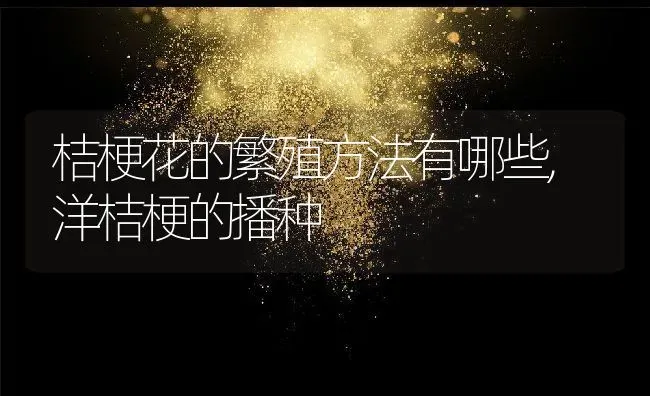 桔梗花的繁殖方法有哪些,洋桔梗的播种 | 养殖常见问题