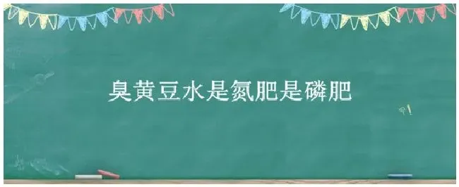 臭黄豆水是氮肥是磷肥 | 科普知识