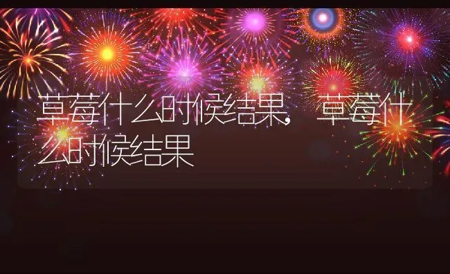 草莓什么时候结果,草莓什么时候结果 | 养殖常见问题