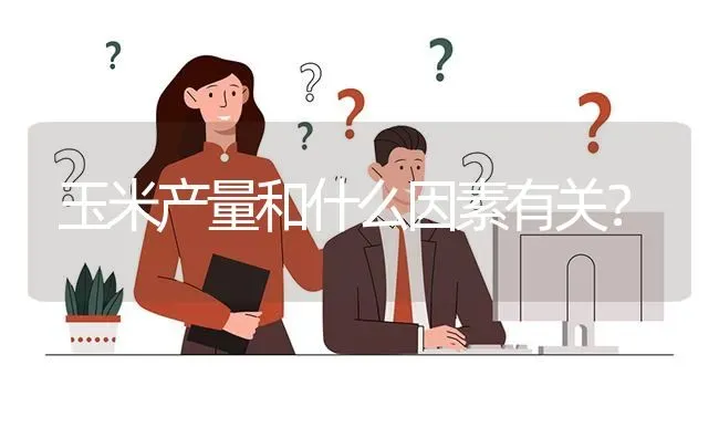 玉米产量和什么因素有关? | 养殖问题解答