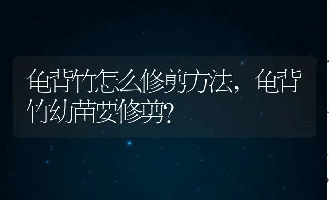 龟背竹怎么修剪方法,龟背竹幼苗要修剪？ | 养殖常见问题