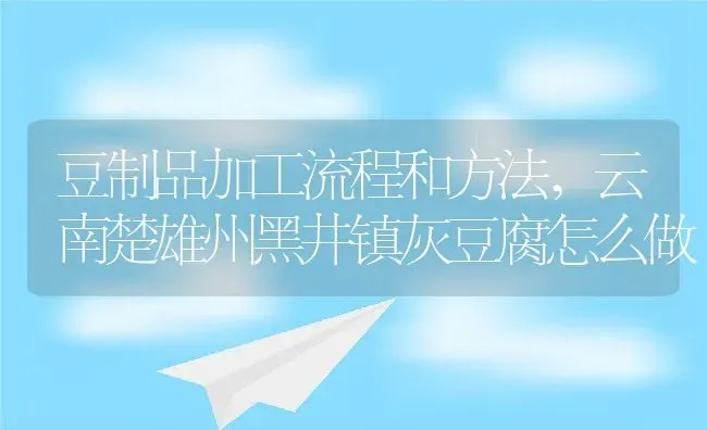 豆制品加工流程和方法,云南楚雄州黑井镇灰豆腐怎么做 | 养殖常见问题