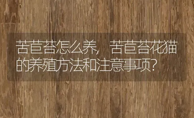 苦苣苔怎么养,苦苣苔花猫的养殖方法和注意事项？ | 养殖常见问题