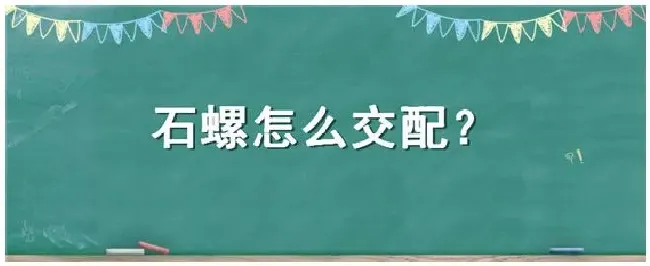 石螺怎么交配 | 科普知识