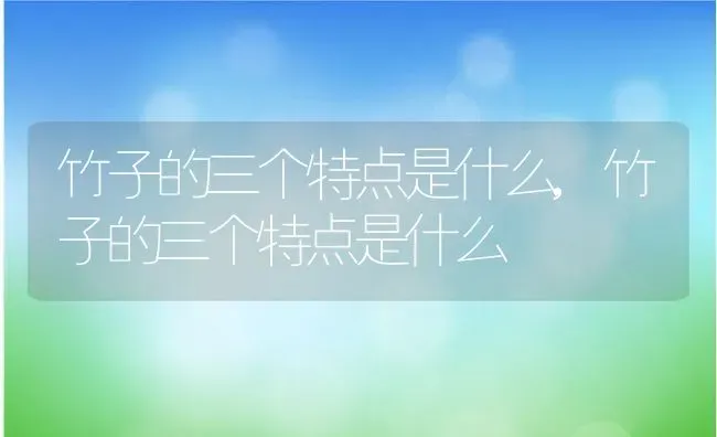 竹子的三个特点是什么,竹子的三个特点是什么 | 养殖常见问题
