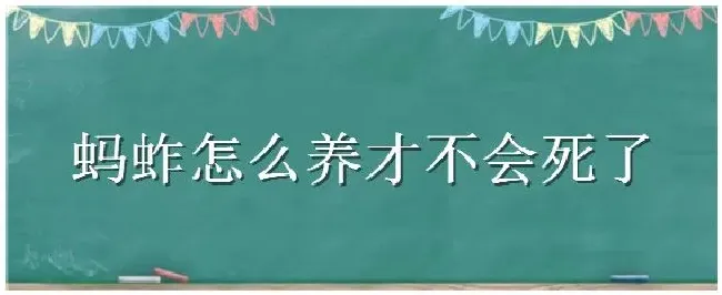 蚂蚱怎么养才不会死了 | 三农问答