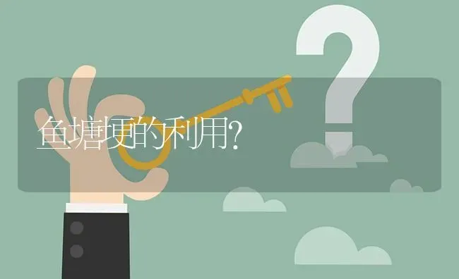 鱼塘埂的利用? | 养殖问题解答