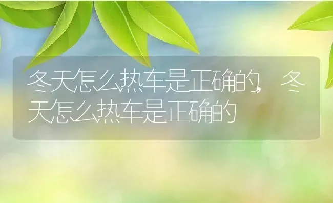 冬天怎么热车是正确的,冬天怎么热车是正确的 | 养殖常见问题