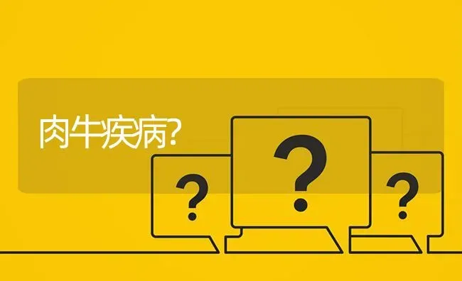 肉牛疾病? | 养殖问题解答