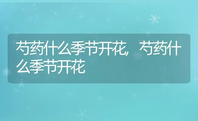 芍药什么季节开花,芍药什么季节开花 | 养殖常见问题