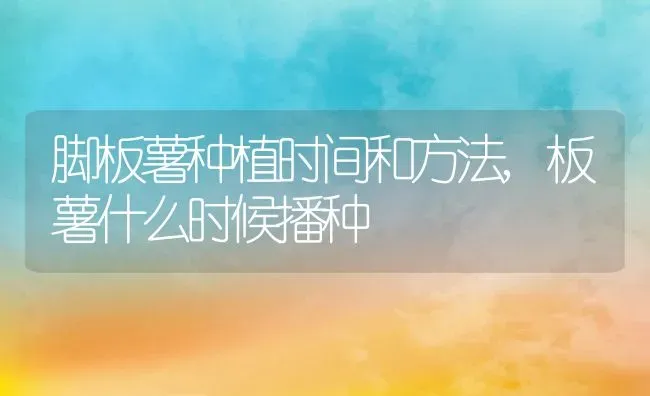 脚板薯种植时间和方法,板薯什么时候播种 | 养殖常见问题