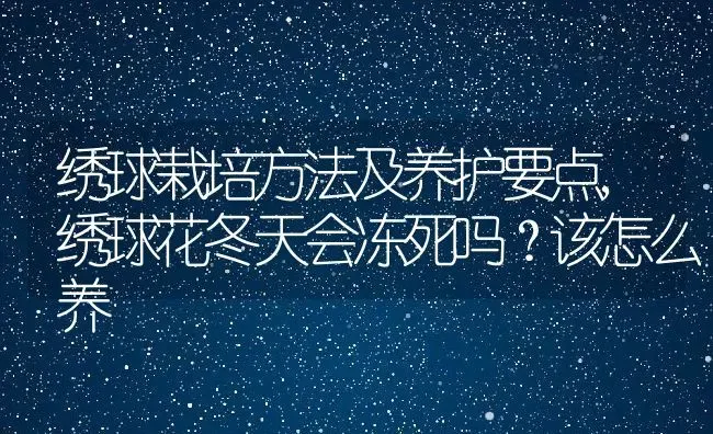 绣球栽培方法及养护要点,绣球花冬天会冻死吗？该怎么养 | 养殖常见问题