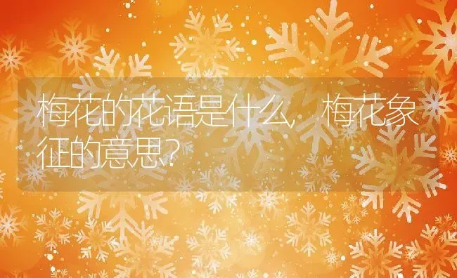 梅花的花语是什么,梅花象征的意思？ | 养殖常见问题