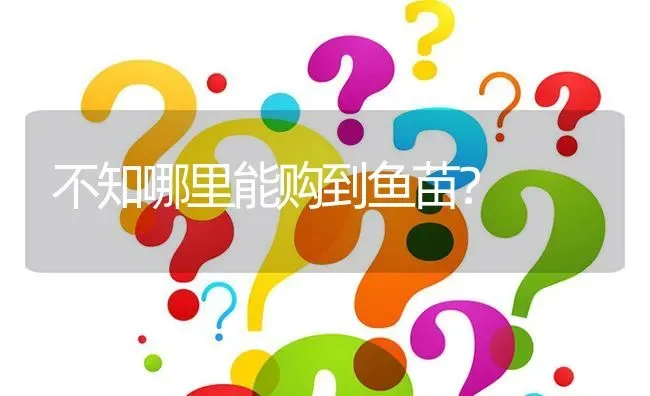 不知哪里能购到鱼苗? | 养殖问题解答