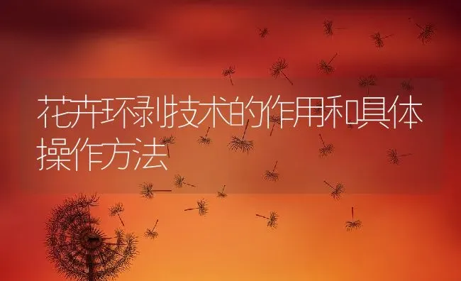 花卉环剥技术的作用和具体操作方法 | 养殖常见问题