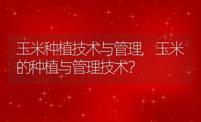 玉米种植技术与管理,玉米的种植与管理技术？ | 养殖常见问题