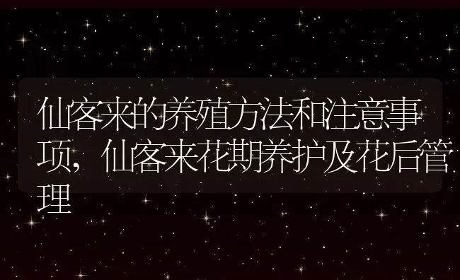 仙客来的养殖方法和注意事项,仙客来花期养护及花后管理 | 养殖常见问题