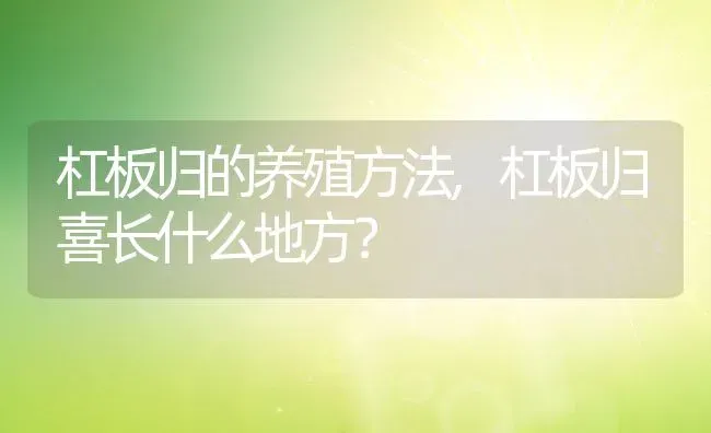 杠板归的养殖方法,杠板归喜长什么地方？ | 养殖常见问题