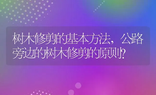 树木修剪的基本方法,公路旁边的树木修剪的原则？ | 养殖常见问题