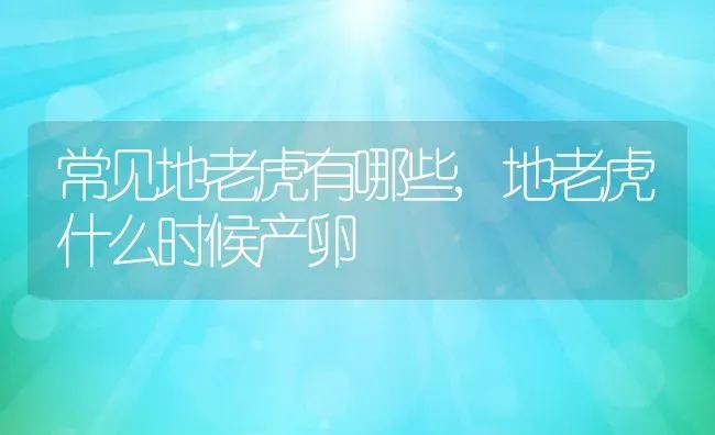 常见地老虎有哪些,地老虎什么时候产卵 | 养殖常见问题