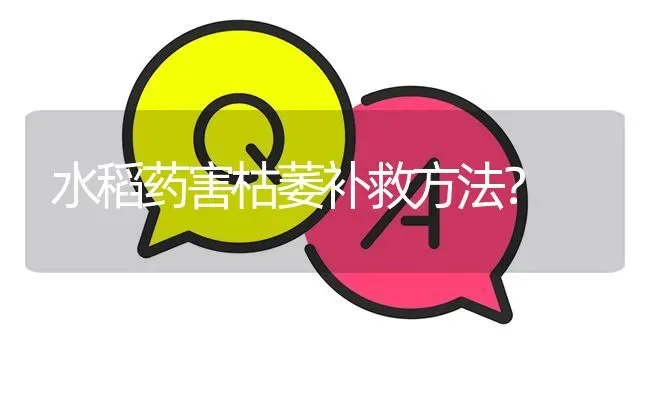 水稻药害枯萎补救方法? | 养殖问题解答
