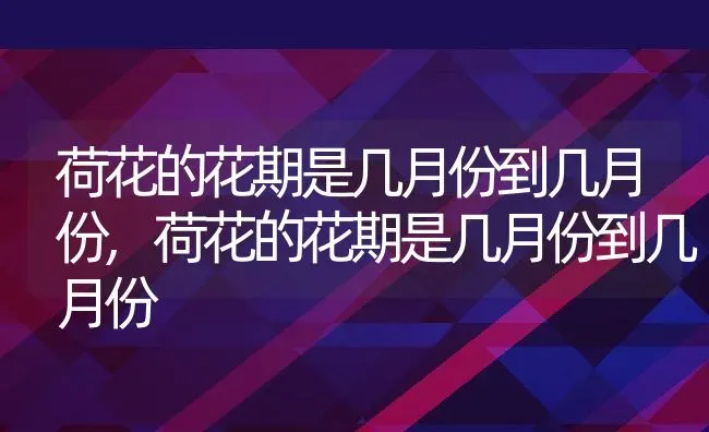 拐枣的功效与作用及食用方法,拐枣是泡还是煮？ | 养殖常见问题