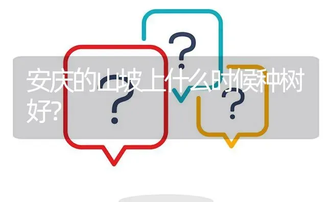 安庆的山坡上什么时候种树好? | 养殖问题解答