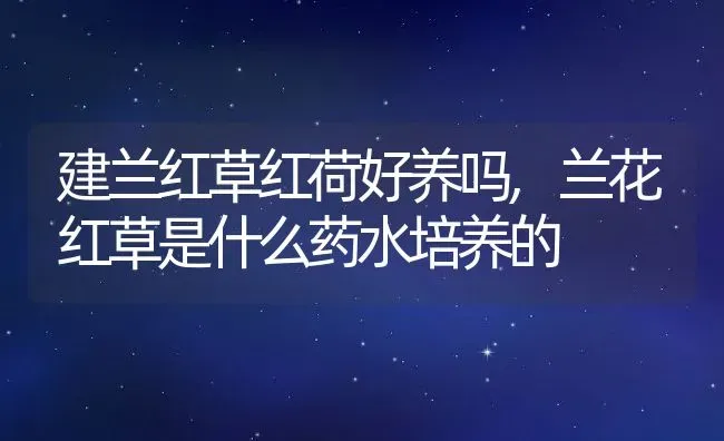 建兰红草红荷好养吗,兰花红草是什么药水培养的 | 养殖常见问题