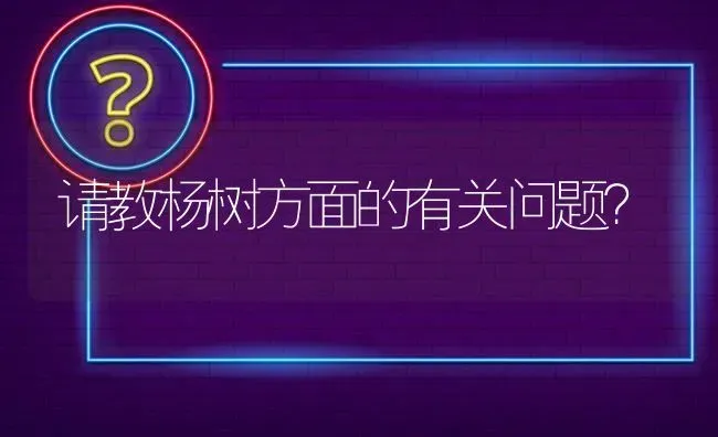 请教杨树方面的有关问题? | 养殖问题解答